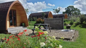 Buttercup Glamping Pod